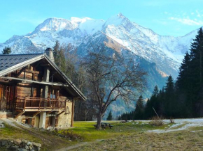 La ferme des ours - sur les pistes, vue Mont-Blanc